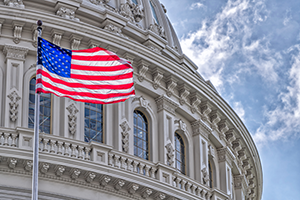 Maryland Premier Exteriors - Government